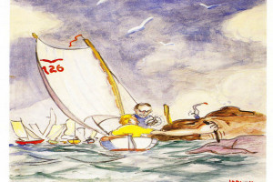 Bilde av Kragerøterne 126